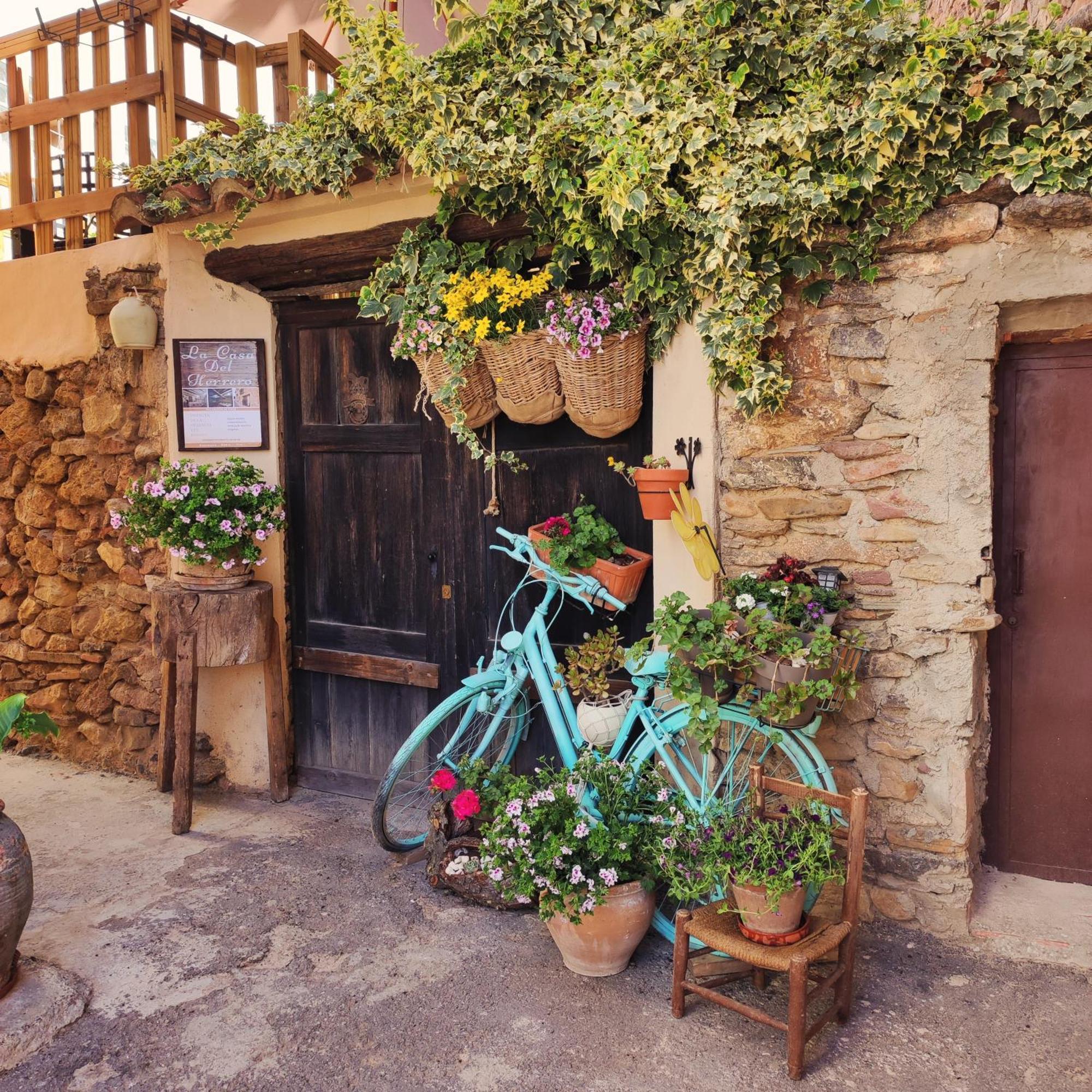 Alcoba Con Patio Del Siglo XIX Villa Villanueva de Viver Exteriör bild